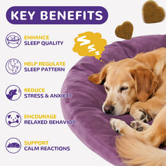 Petrivium Melatonin for Dogs chews close-up highlights tasty calming chews.