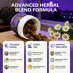 Petrivium Melatonin for Dogs sleep scene shows peaceful night-time rest.
