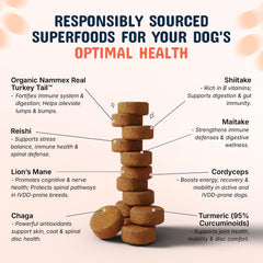Pets Are Kids Too real turkey tail mushrooms image highlighting real ingredients for immune support.