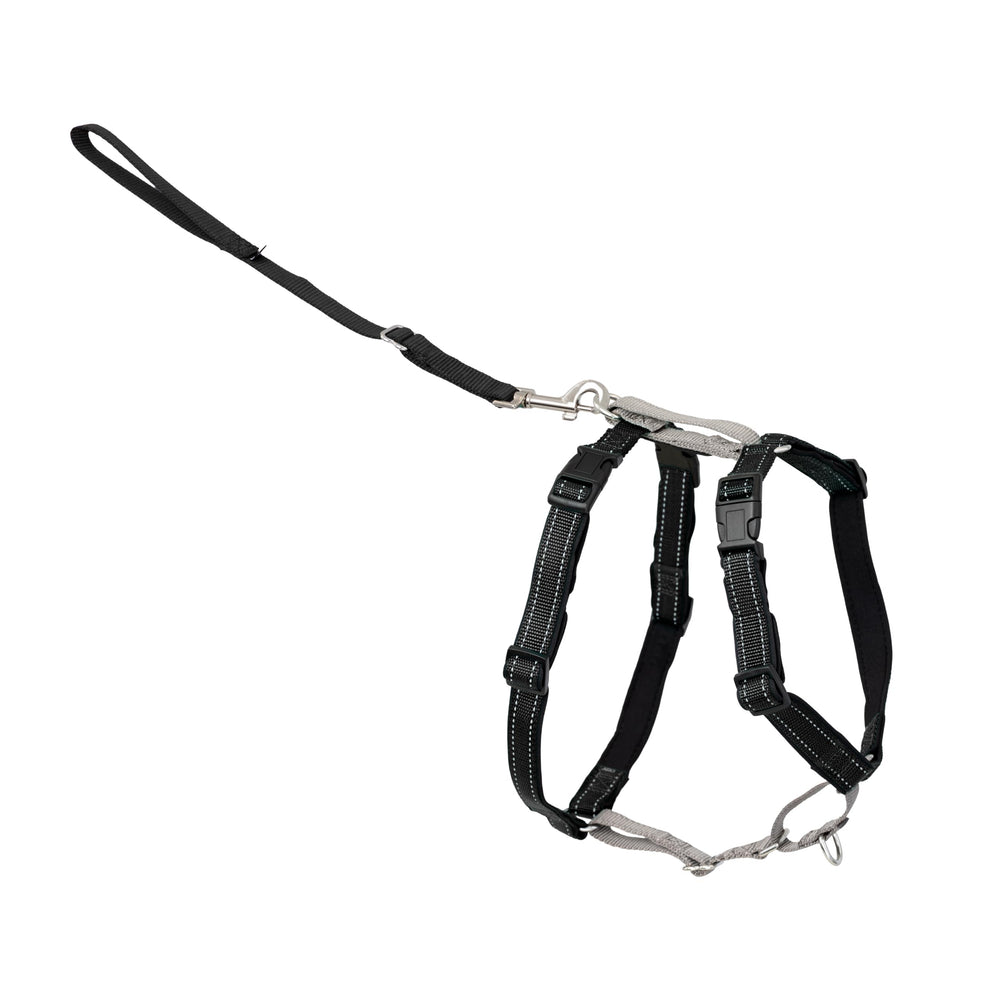 PetSafe 3-in-1 harness front D-ring close-up for no-pull training.
