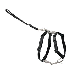 PetSafe 3-in-1 harness front D-ring close-up for no-pull training.