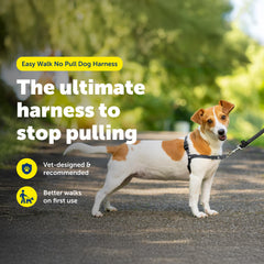 PetSafe Easy Walk Harness con anclaje de pecho: dirige al perro sin forzar la garganta