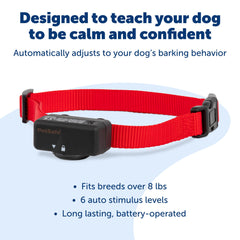 PetSafe Basic Bark Control Collar close-up battery compartment including RFA-67 battery