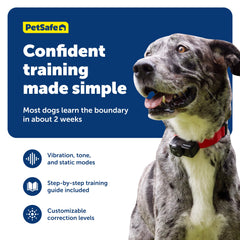 PetSafe adjustable neck collar demonstrates range for various dog sizes