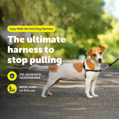 PetSafe Easy Walk con ajustes de confort para un ajuste perfecto