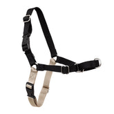PetSafe Easy Walk visto de frente, arnés cómodo para paseos sin tirones