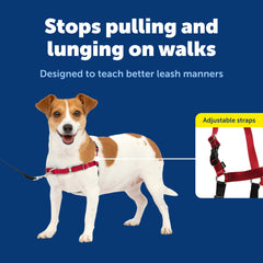 PetSafe Easy Walk Harness breathable fabric keeps dogs cool on long walks.