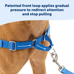 PetSafe Easy Walk harness close-up martingale loop for front-pressure redirect