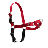PetSafe Easy Walk Harness front attachment demonstrates gentle no-pull control on walks.
