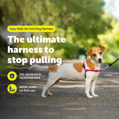 PetSafe Easy Walk Harness side view shows adjustable, comfortable fit.