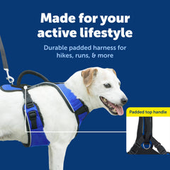 PetSafe EasySport adjustable neckline close-up demonstrates flexible fit.