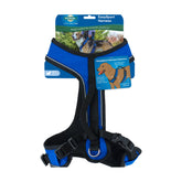 PetSafe EasySport harness front view showing padded comfort for active dogs.