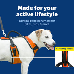 Petsafe EasySport rear-leash attachment supports controlled walks and reduced tripping