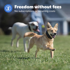 PetSafe Guardian wireless fence demo shows wire-free containment