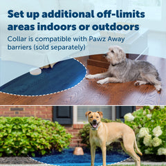 PetSafe PawZ Away compatibility demonstrates keeping pets from off-limit areas.