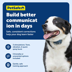 PetSafe unscented spray cartridge ready for distraction-free reminders during training