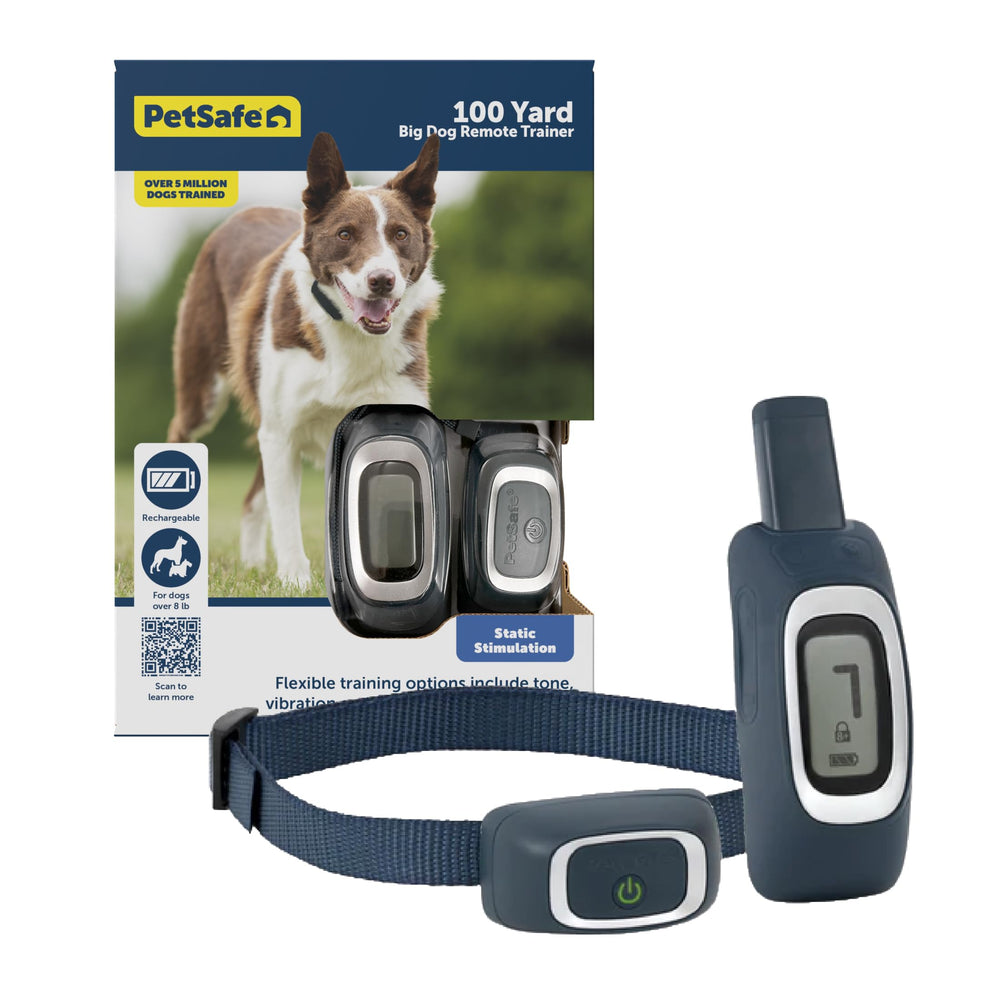 PetSafe Remote Trainer: remote in hand for precise, close-range coaching.