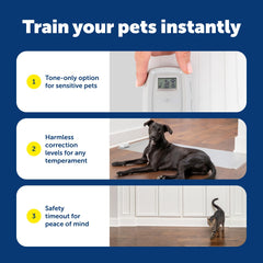 PetSafe ScatMat transparent mat lying flat for discreet training.