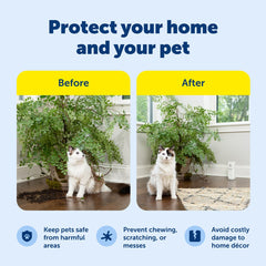 PetSafe SSSCAT refillable canister highlights reusable training solution.