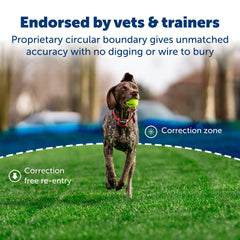 PetSafe Stay & Play boundary flags mark the invisible zone for training sessions.
