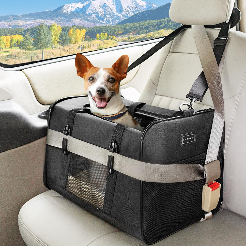 Petsfit carrier shows roomy 19x12x12 dimensions for cats and small dogs on trips.