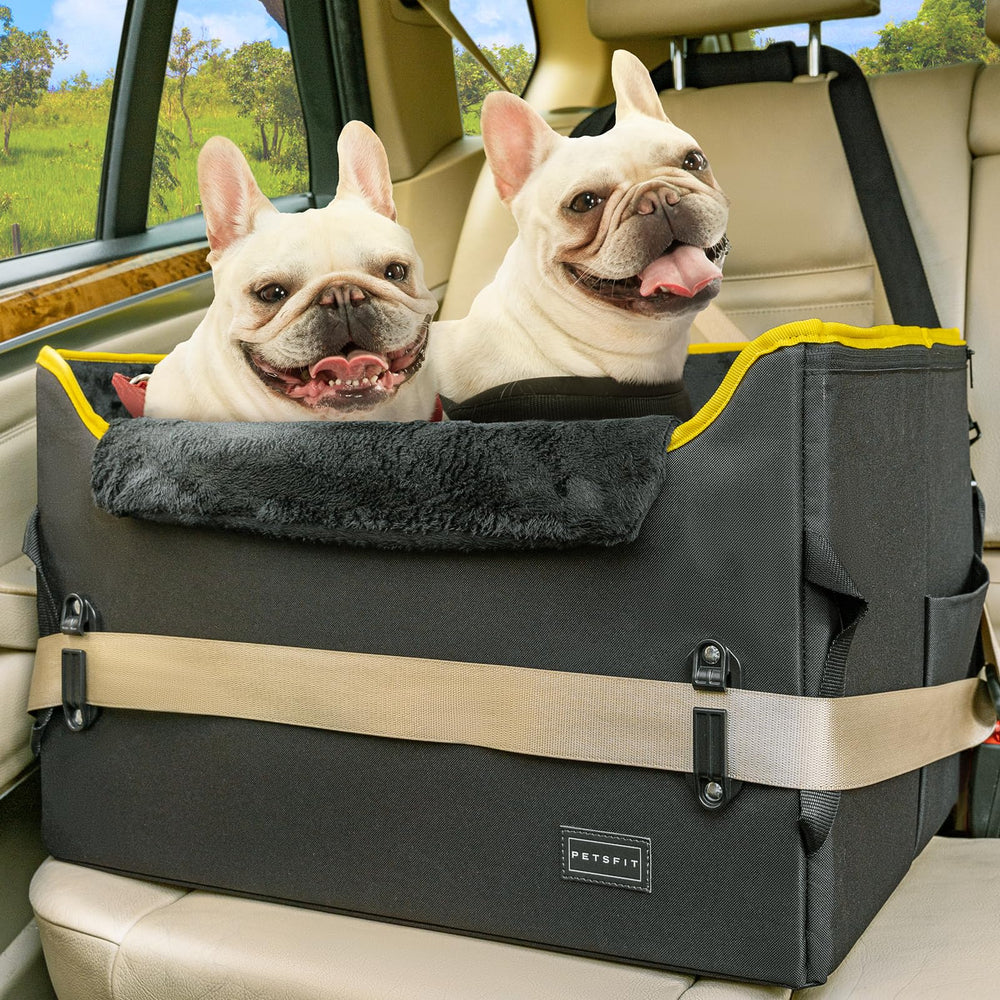 Petsfit dog booster seat front view showing elevated seating for medium dogs