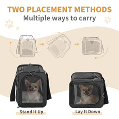 Petsfit four mesh ventilation panels give airflow and visibility for calm travel