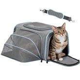 Petsfit small cat carrier expandable under-seat for flight-ready travel.