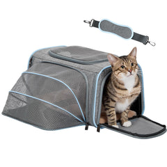 Petsfit small cat carrier expandable under-seat for flight-ready travel.