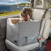 Petsfit small dog car seat in car offers secure travel for tiny pets.
