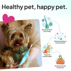Petsie no-toothpaste-needed brush in hand highlighting mess-free dental care at home.