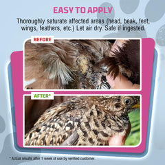 PetSilver safe-peck-friendly spray applied on a beak area
