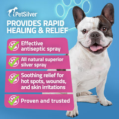 PetSilver Wound & Skin Spray used on a pet's face and ears for gentle care.