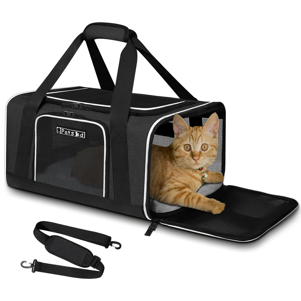 Petskd pet carrier under-seat view shows cabin-friendly design for travel