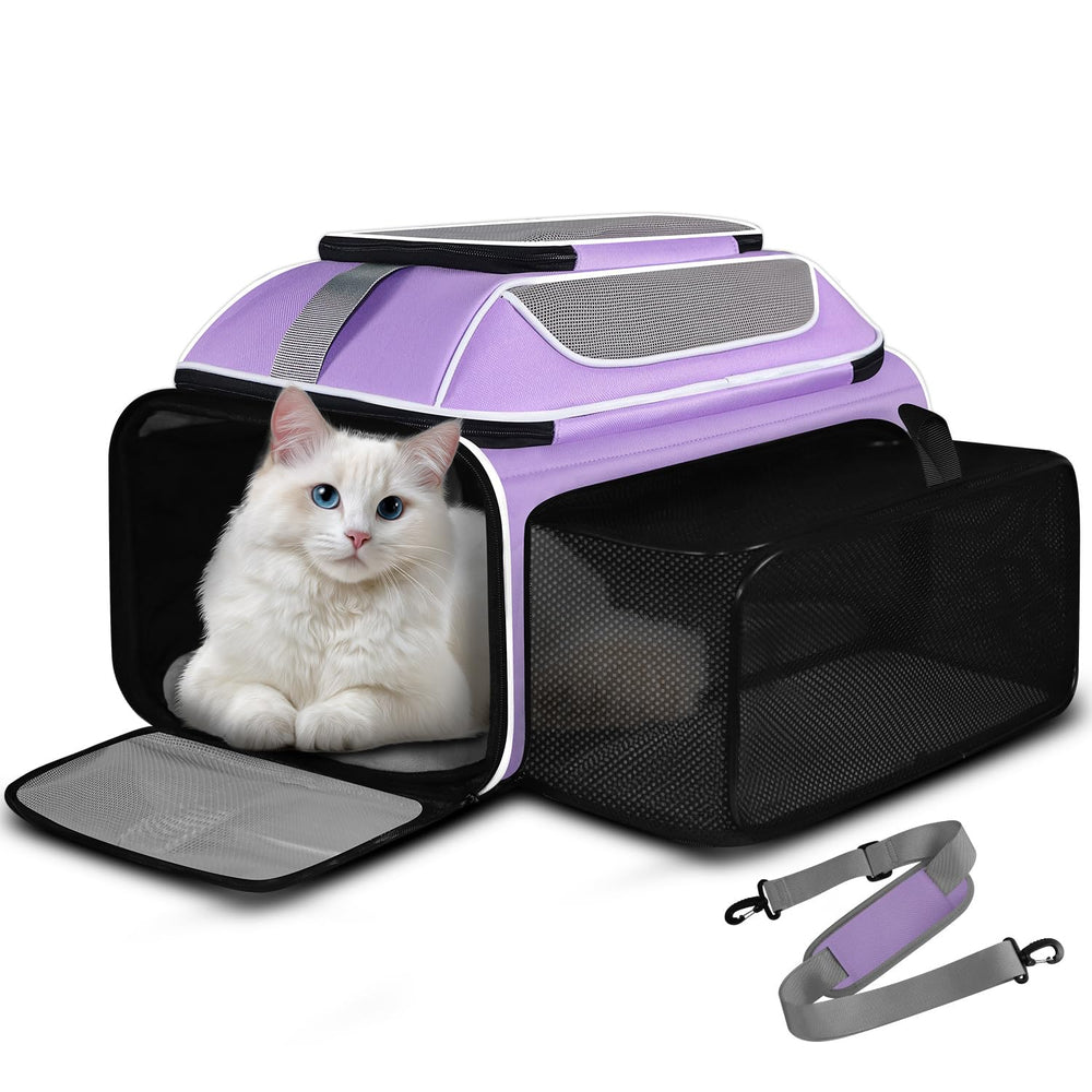 Petskd top-side expandable carrier front view shows airline-friendly under-seat size