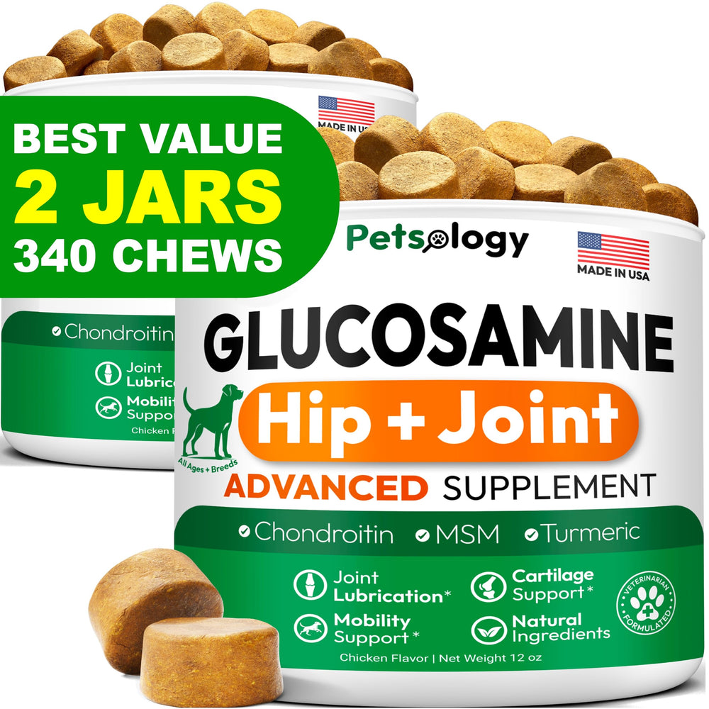 Petsology 2-pack glucosamine dog chews bottle—supports joint comfort and mobility for dogs.