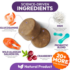 Petsology dog multivitamin glucosamine image highlights potential joint support for mobility.