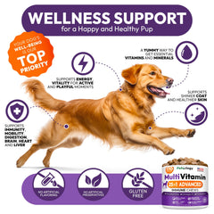 Petsology dog multivitamin probiotics ingredients close-up suggests gut health and immune support.