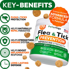 Petsology flea-tick-chews closeup highlights tasty texture for easy dosing.