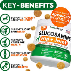 Petsology glucosamine dog chews ingredients closeup highlights premium joint health formulation.