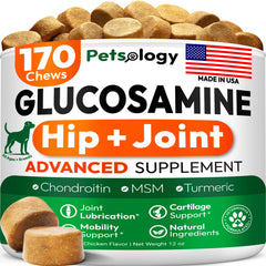 Petsology Glucosamine for Dogs bottle closeup shows joint support for active pets