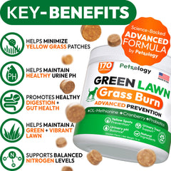 Petsology Green Lawn Chews pack highlighting lawn health support.