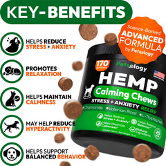 Petsology Hemp Calming Chews dog treats close-up showing melatonin support for restful sleep.