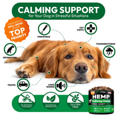 Petsology Hemp Calming Chews packaging on shelf suggests trusted USA-made quality.