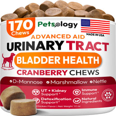 Petsology gomitas de arándano para perro, apoyo a la salud urinaria diaria.