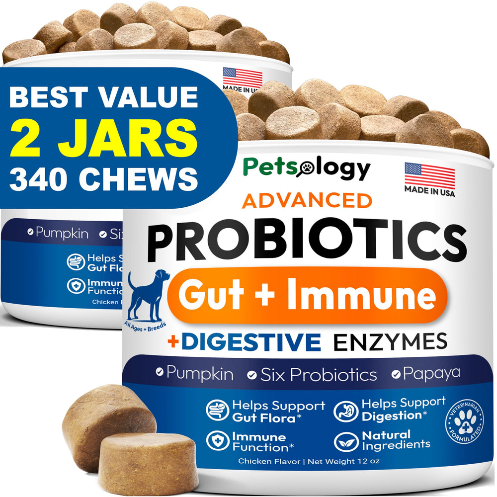 Petsology Probiotics for Dogs 2-pack bottle front supports daily gut balance and ease of digestion
