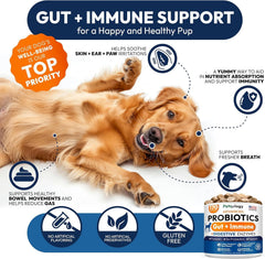 Petsology Probiotics two-pack box on shelf hints at convenient gut health support