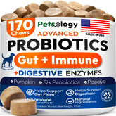 Petsology probióticos para perros, botella, soporte digestivo general.