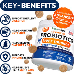 Petsology probióticos para perros, gomitas, favorecen equilibrio intestinal.