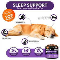Petsology sleeping-dog-hero-shot highlights restful sleep potential without grogginess.